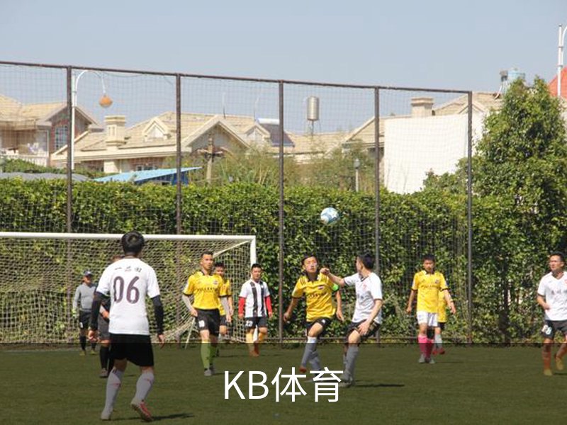 KB体育简介